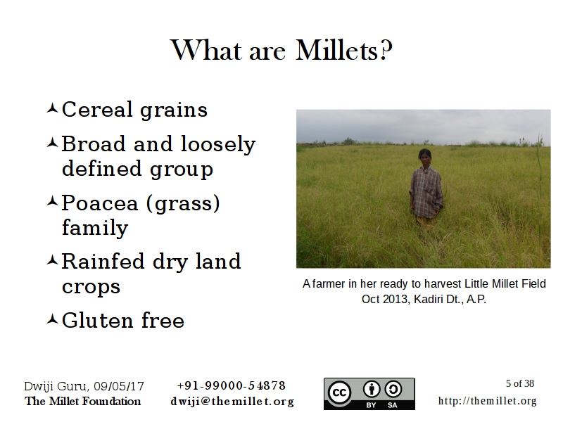 The 2017 National workshop on Millets – The Millet Foundation