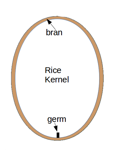 Know Millets Webinars 2020, Session #&nbsp;09